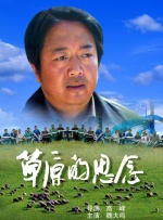 久久精品成人